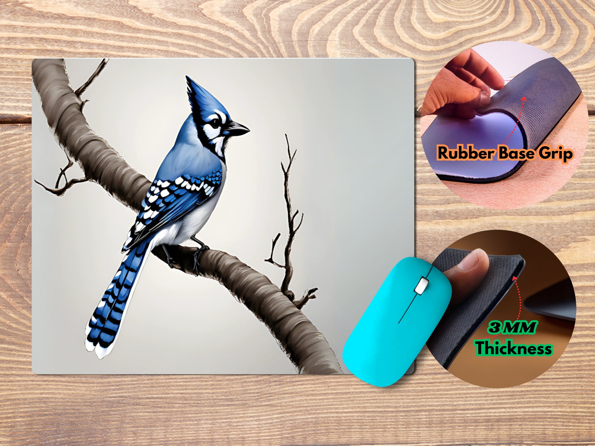 Blue Jay - Recognizable by its vibrant blue feathers, this bird is known for its intelligence and complex social behaviormousepad mockup style 4