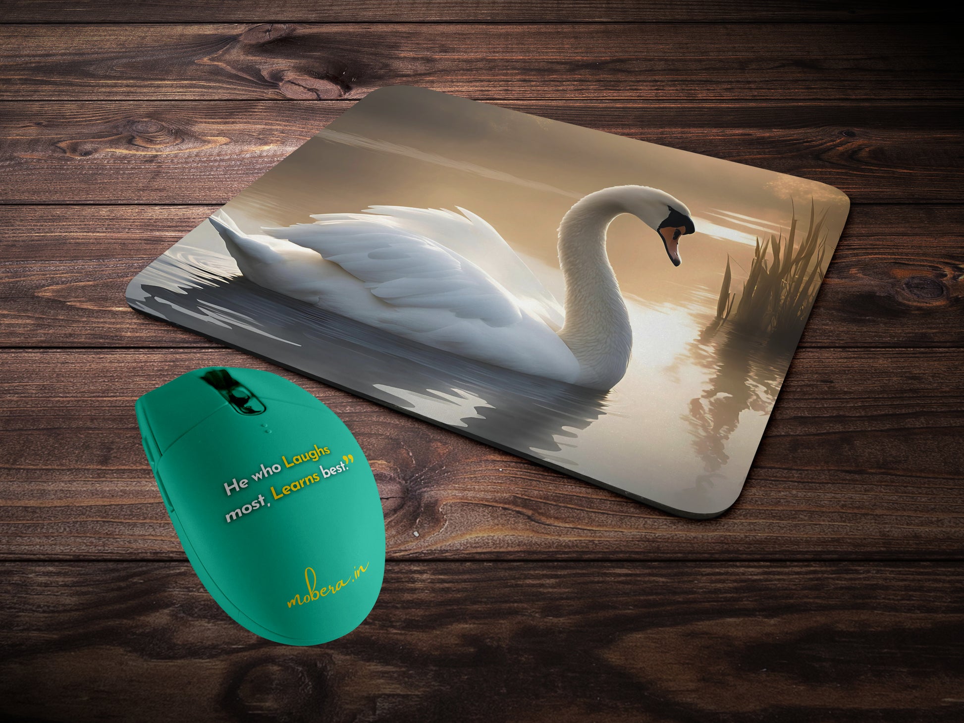 Swan resting by the water's edge, surrounded by gentle ripplesmousepad mockup style 2